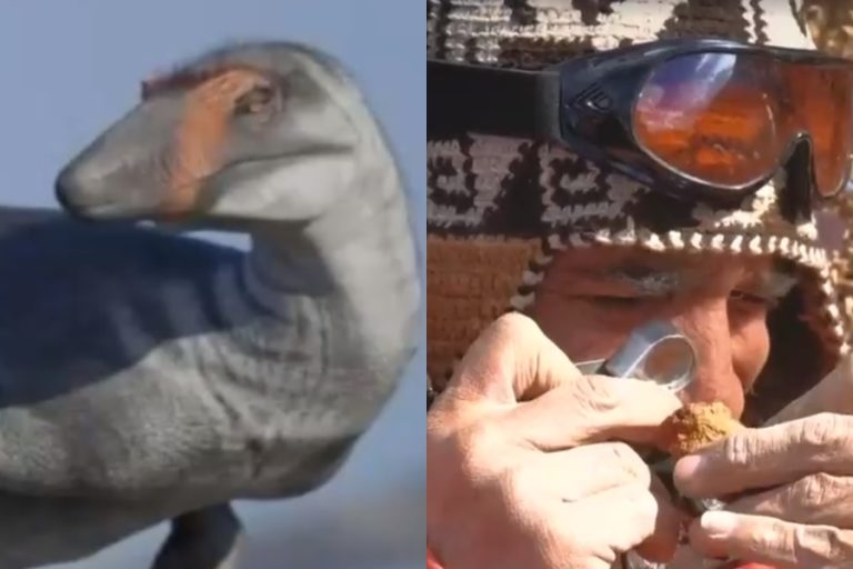 Así era el megaraptor: Hallan restos de cuatro tipo de dinosaurios que habitaron la zona austral de Chile