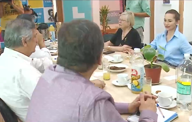 ¿Una o dos listas? El dilema que complica al oficialismo para las elecciones de consejeros constituyentes