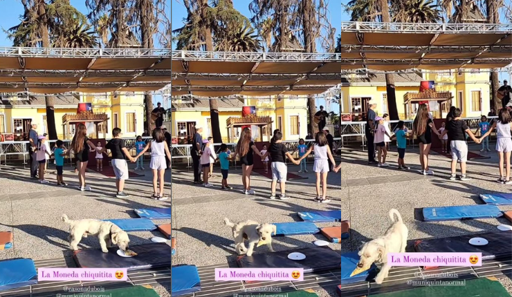 Fue grabado por la propia alcaldesa: Perrito robó pedazo de pizza en plena actividad de Quinta Normal