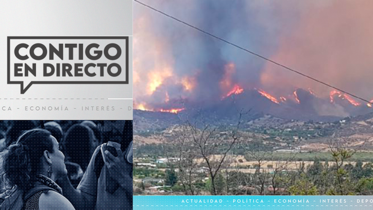 Onemi declara alerta roja por incendio forestal en Curacaví