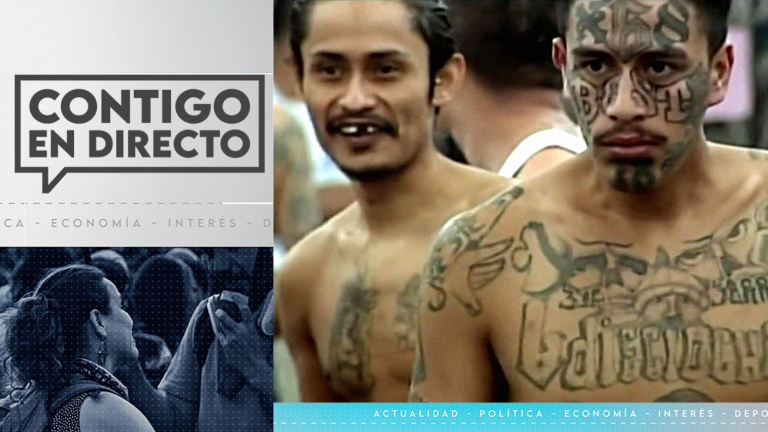 Investigan presencia de Las Maras en Chile: La peligrosa pandilla salvadoreña a nivel continental