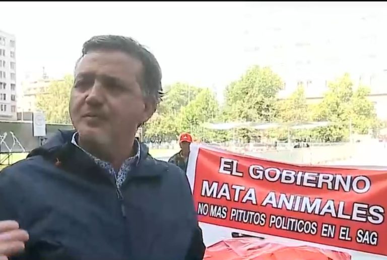 Dejó león muerto frente a La Moneda: La protesta de dueño de zoológico de Los Ángeles