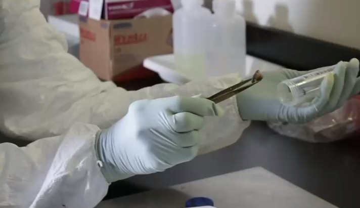 ¿Cáncer o envenenado? Investigadores entregarán últimos informes para esclarecer muerte de Pablo Neruda