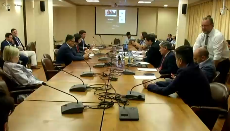 Comisión revisora rechazó acusación constitucional contra ex ministra Marcela Ríos