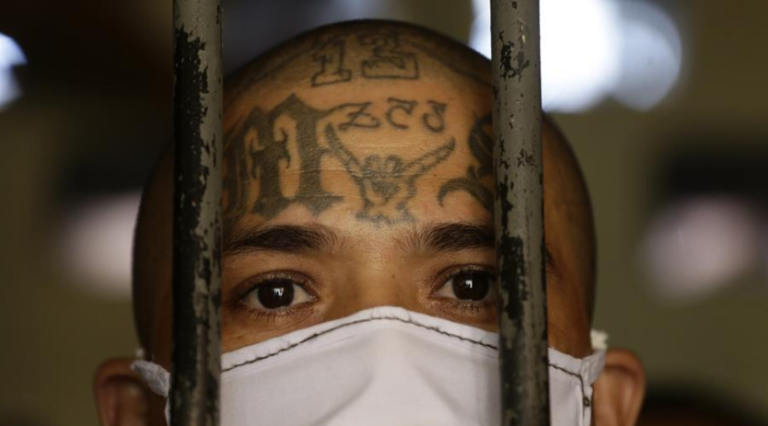 Desde El Salvador advierten que la Mara Salvatrucha 