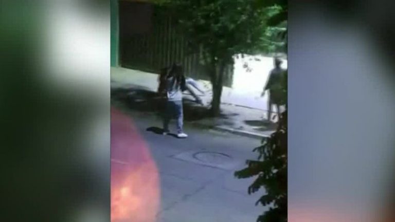 Impactante registro: Pelea callejera terminó con persona fallecida en La Cisterna