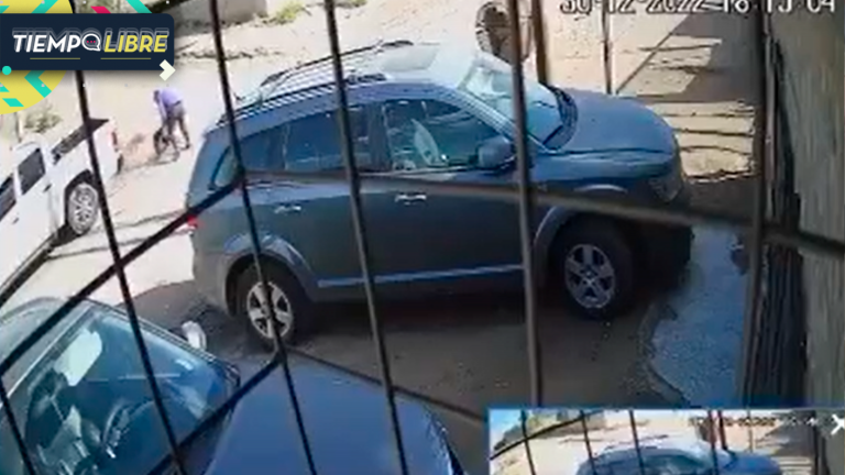Acuchilló a un pitbull hasta matarlo luego de que este atacara a su hijo en la calle