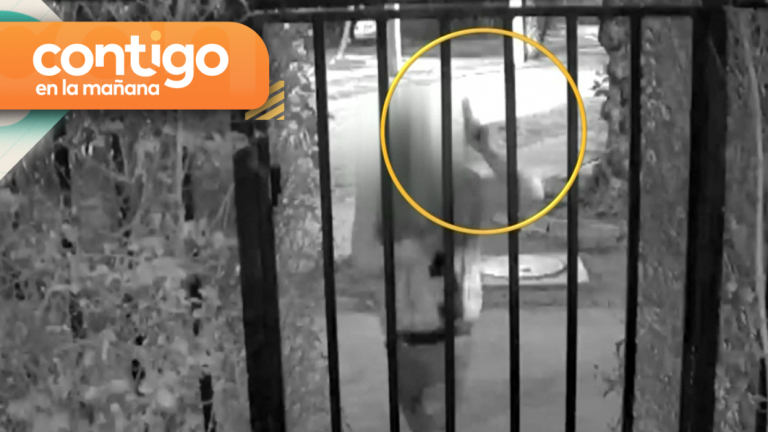 Terror en Puente Alto: Denuncian a hombre que dispara, amenaza y agrede a vecinos