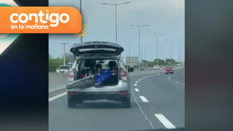 Intensa persecución: Adolescente de 15 años es detenido por robo de auto y moto