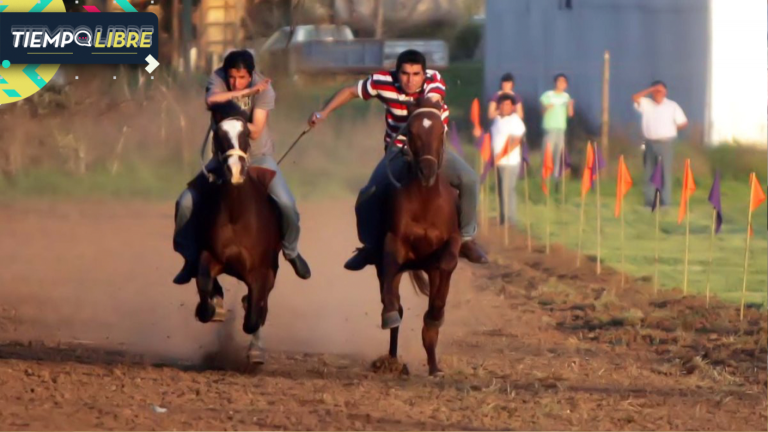 Yegua mató de una patada a hombre en plena ‘carrera a la chilena’ en Ñuble