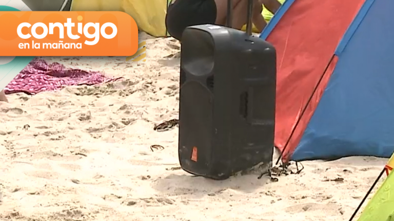 Ordenanza por ruidos molestos: Multarán con hasta $120.000 por usar parlantes en la playa