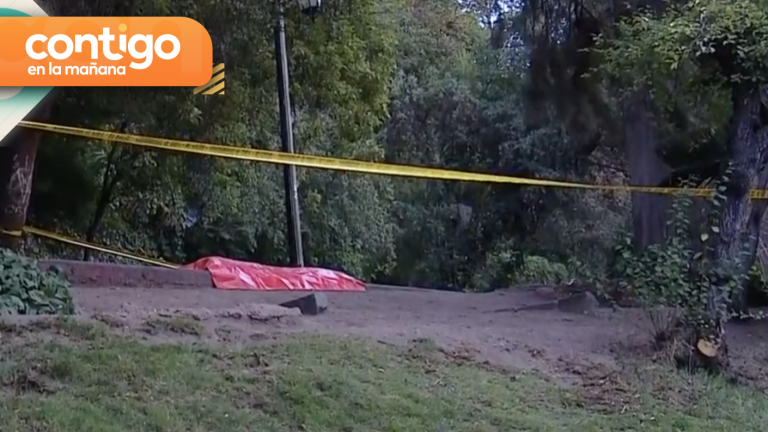 Joven muere en Cerro Santa Lucía tras ser baleado en asalto