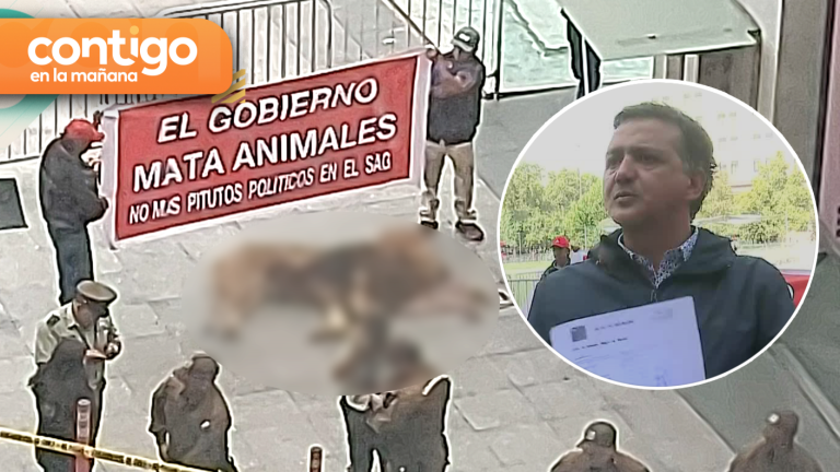 Arrojan león muerto frente a la moneda: Dueño de zoológico explicó su forma de protestar contra el SAG