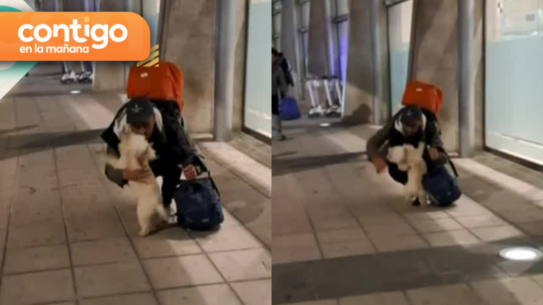 ¡Qué tierno! Registran emotivo reencuentro entre perrita con su amo