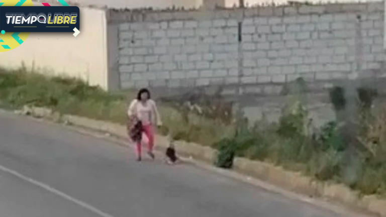 Impactante registro: cámara capta a una mujer pateando violentamente a su pequeño hijo