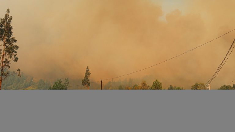 Piloto español falleció mientras combatía incendio forestal en La Araucanía