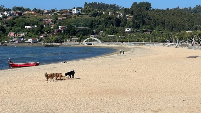 ¿Qué hacer si me impiden el acceso a la playa? Estos son los canales de denuncias oficiales