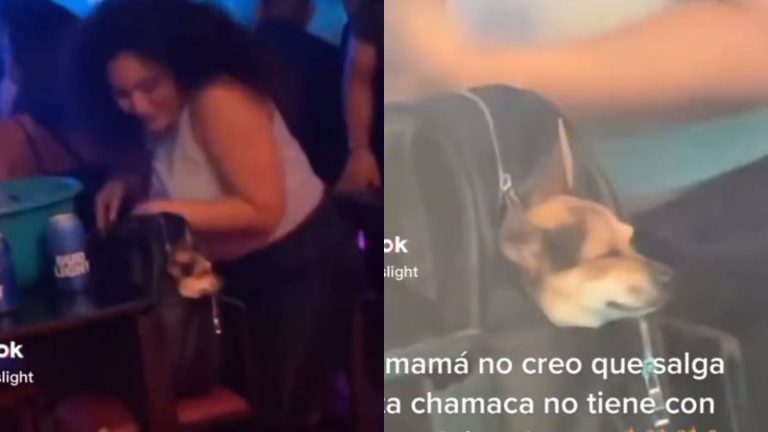 ¿Carreteando con la bendición? Mujer salió a bailar con su perrito en la mochila y desató reacciones confrontadas