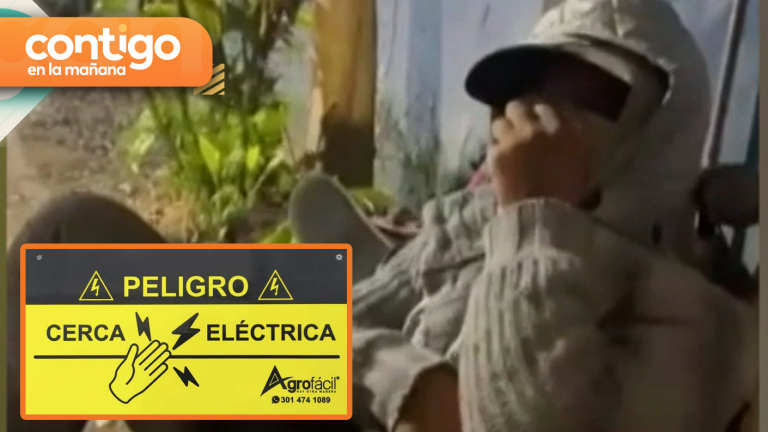 Delincuente terminó electrocutado tras intentar robar en peluquería de Concepción: Chocó con cerco eléctrico