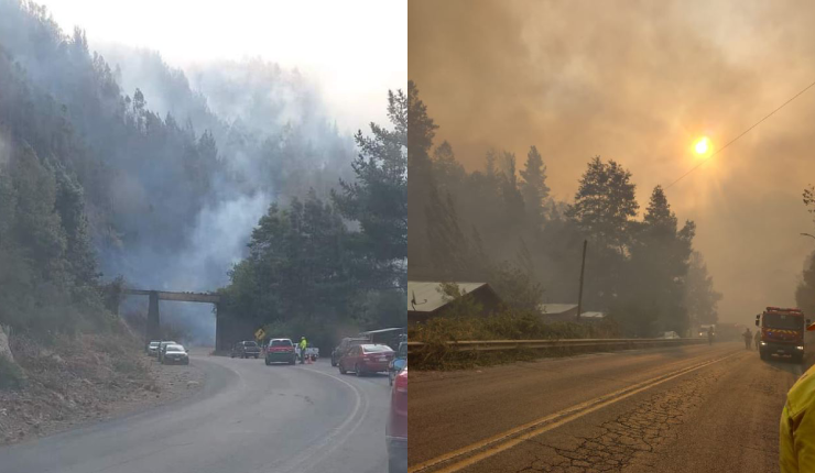 Senapred declara alerta roja en Purén por incendio forestal: Fuego amenaza a zona de viviendas