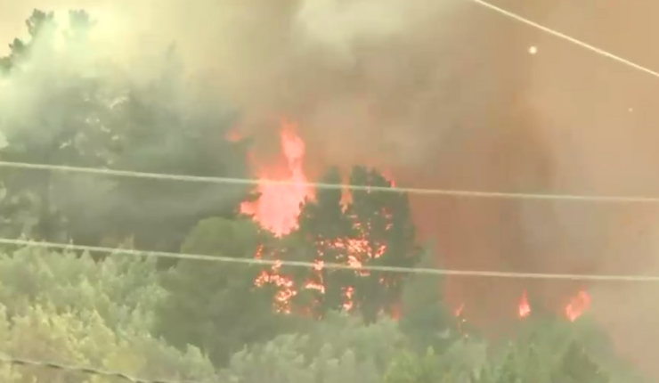 Alerta Roja en Quillón tras incendio forestal: Hay 30 casas en peligro de ser alcanzadas
