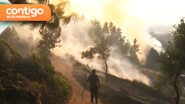 Gobierno decreta zona de catástrofe en región del Ñuble por incendios forestales