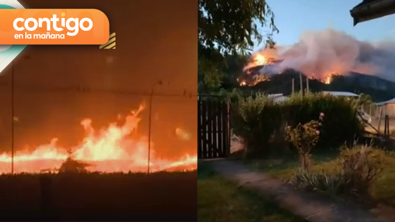 Vecinos viralizan impactantes registros de incendios forestales en Ñuble: Hay 38 focos activos