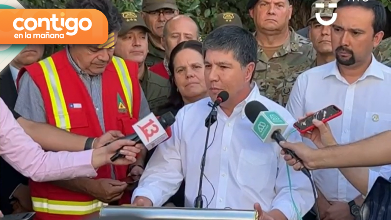 Más de 14 mil hectáreas consumidas: Gobierno entrega balance de incendios forestales en Ñuble y Biobío