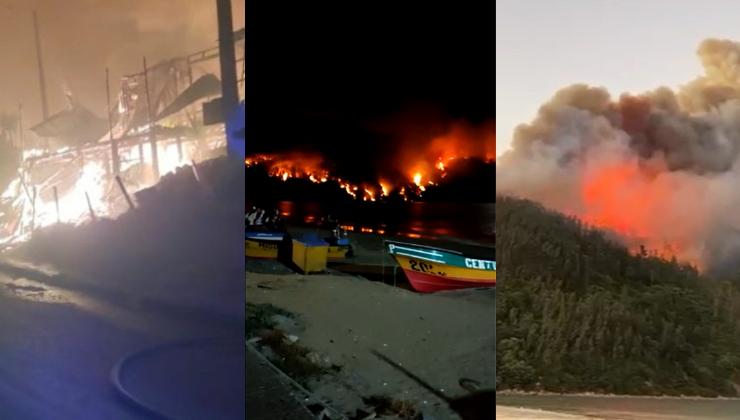Amanecer devastador: Los registros de los incendios forestales que afectan a Ñuble y Biobío