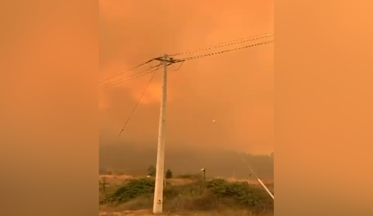 El fuego arrasó con todo a su paso: Así avanzaron los incendios forestales en Ñuble y Biobío