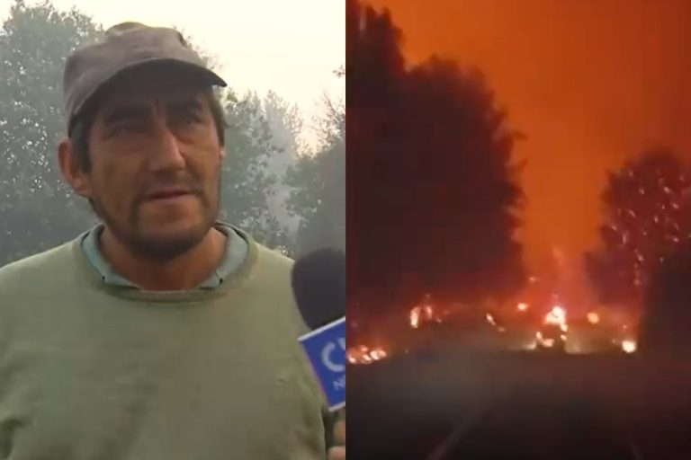 Damnificado en Purén relató que incendio avanzó en media hora: 