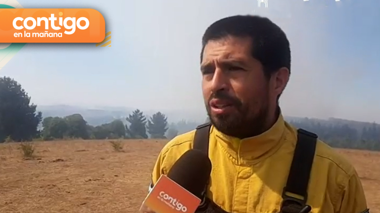 “La situación no es muy favorable”: Brigadistas argentinos llegan a Quillón para combatir incendios forestales