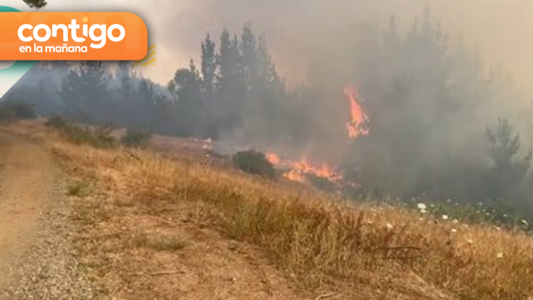 Alerta en Quillón: Se reactivaron 14 focos de incendio forestales