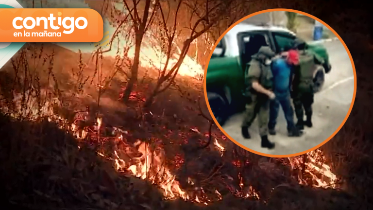 Más de 10 detenidos: Estos son los presuntos responsables por los incendios forestales