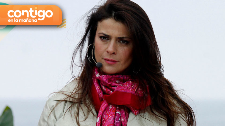 “Hay que hacerse el hue…”: Los audios que complicarían a Tonka Tomicic en Caso Relojes