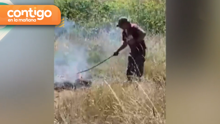 Detienen a hombre que intentó quemar pastizales en Puerto Montt