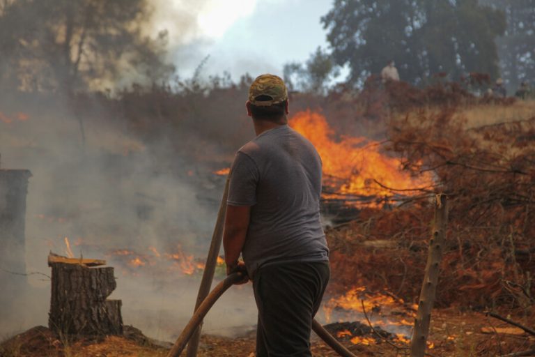 Call center especial: Este es el número del gobierno para pedir ayuda por los incendios forestales