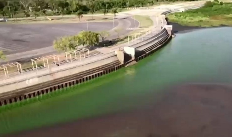 Alerta en Argentina: ¿Qué son las cianobacterias que provocaron extraño color verde en el Río de la Plata?