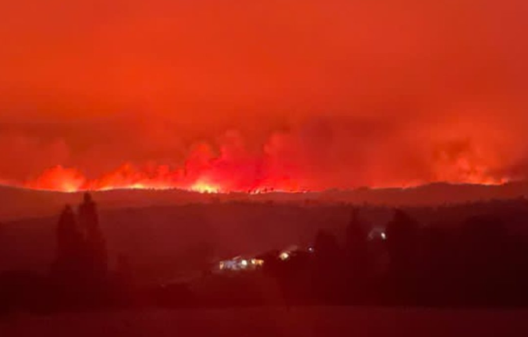 Región del Ñuble: Senapred ordena evacuar Ninhue por rápido avance de incendio forestal