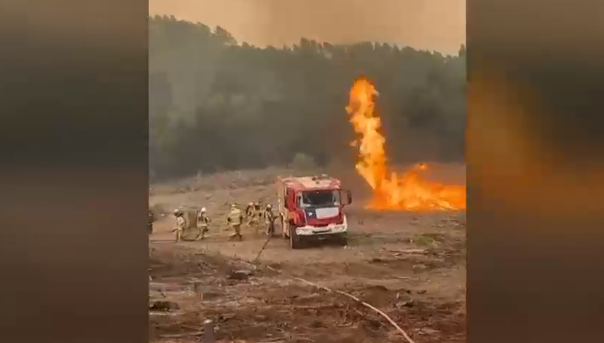 Postergaron a sus familias y trabajos: El regreso a casa de algunos Bomberos que combatieron incendios forestales
