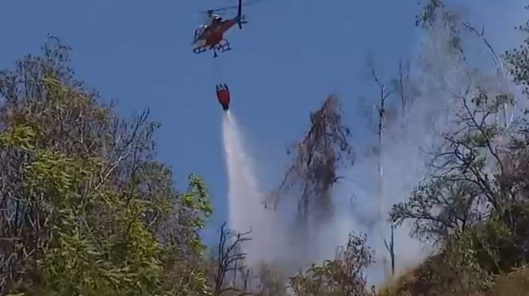 Habría una persona herida: Bomberos trabaja en control de incendio en ladera oriente del Parque Metropolitano