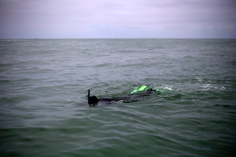 Mamá de joven desaparecido en Coquimbo confirmó que cuerpo encontrado es de su hijo: 