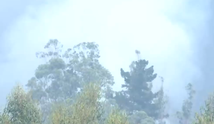 Van más de 6 mil hectáreas quemadas: Autoridades mantienen alerta de evacuación en comuna de Coronel por incendio