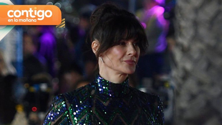 ¿Por qué Tonka Tomicic no aparece en la Quinta Vergara?