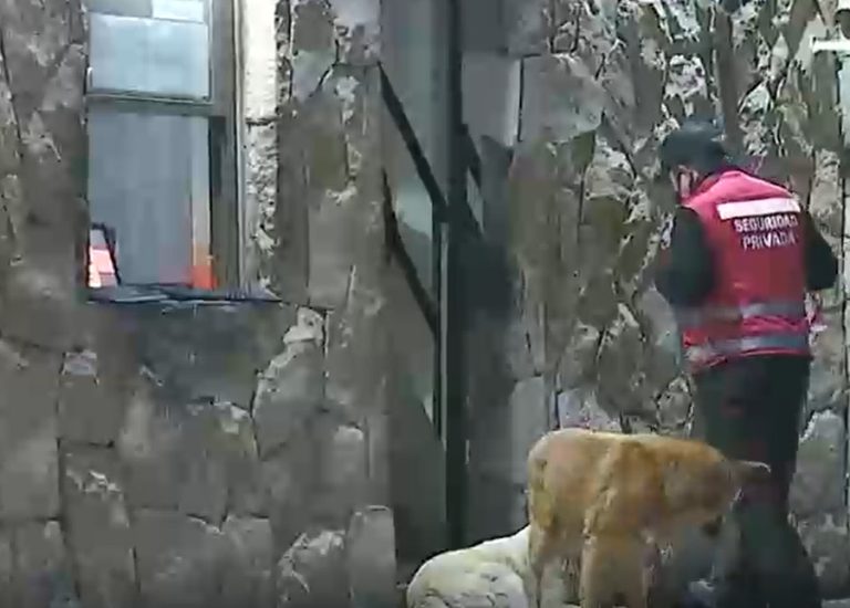 Conserje resultó baleado por delincuentes tras detener intento de robo en condominio en Colina