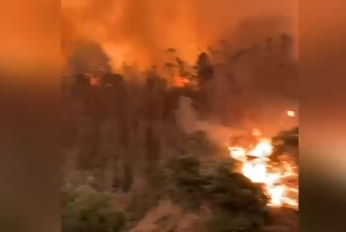 Serían provocados por terceros: Gobernador Regional de La Araucanía establece que incendios fueron intencionados