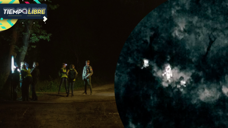 ¿Inexplicable? Jóvenes fueron perseguidos por extraña presencia en bosque y decidieron enfrentarla