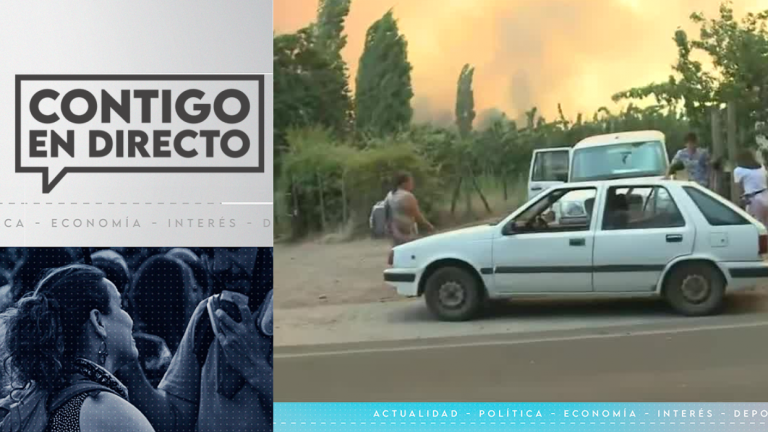 Incendio forestal descontrolado: Ordenan evacuación de algunos sectores en Quillón