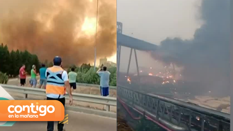 Se han consumido el doble de hectáreas que años anteriores: El análisis del Gobernador de Ñuble por incendio forestal