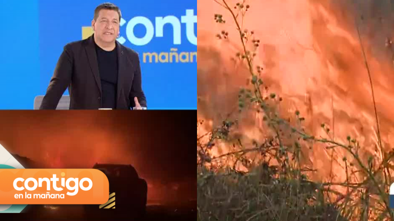 “¡Cortemos el leseo, un poco de humanidad!”: JC Rodríguez criticó acción de las autoridades por incendios en Ñuble